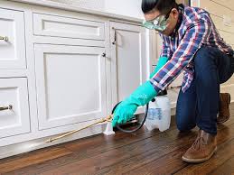 Real Estate Pest Inspections in El Granada, CA